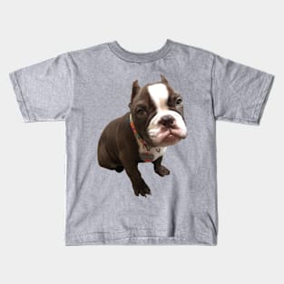 American Bully Kids T-Shirt